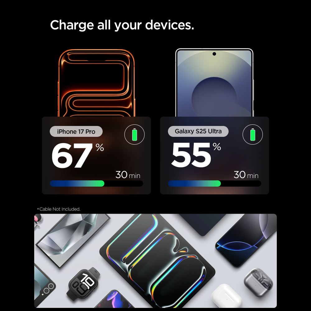 Tinklo įkroviklis Spigen Essential EE301EU 1 prievadas 30W - titano spalvos