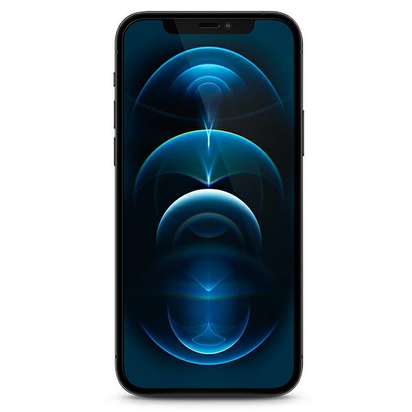 Guess grūdintas stiklas iPhone 12 Pro Max 6.7" – Vintage